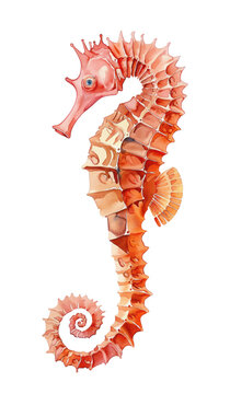 Watercolor seahorse, vector illustration.