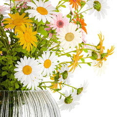 Small bouquet of wildflowers daisies chamomile isolated on white background - obrazy, fototapety, plakaty