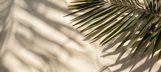 Obraz premium Palm leaf shadow banner on sand, top view, copy space. generative ai