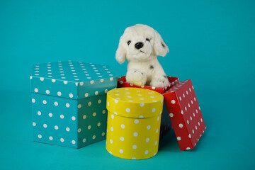  Gift boxes and toy puppy.   
