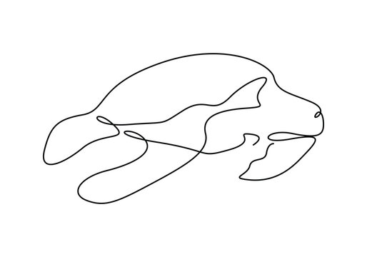 recommend clip art: Sea turtle fauna aesthetic continuous one line art vector illustration 