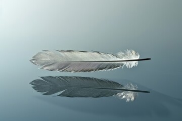 A single, metallic feather floating in mid-air, casting a long shadow on a smooth, reflective surface.