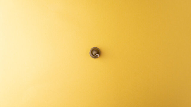 One piece of green insalatonde pasta on a yellow background. Pasta in the center of the frame. negative space. Place for text. Close-up, top view. Flatlay