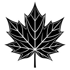 Maple leaf icon silhouette vector illustration