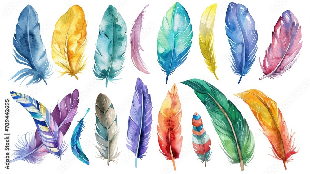 Poster various colored feathers on a plain white backdrop. ideal for artistic projects or nature-themed des