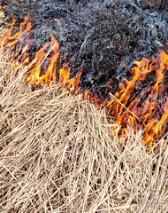 Dry grass on the ground in the fire. Natural background. - 789443000