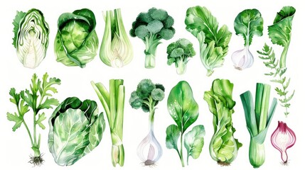 Fresh vegetables on a clean white background, perfect for food and nutrition concepts
