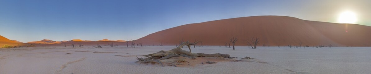 Panoramic view to the Big Daddy Dune in Sussusvlei from the salt pan of Deathvlei with surrounding red dunes in the morning