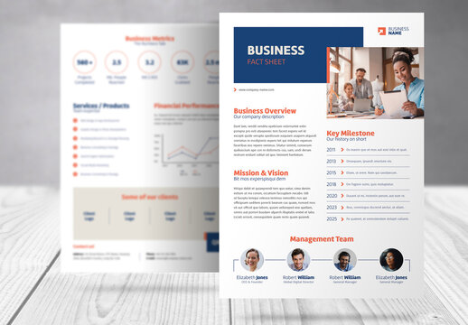 Business Company Fact Sheet Template 