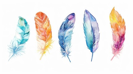 A group of colorful feathers sitting next to each other. Perfect for arts and crafts projects