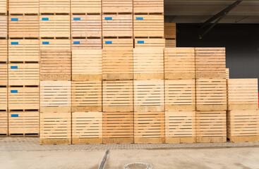 Many large wooden boxes for transporting potatoes or apples are stacked one on top of the other in front of the warehouse.