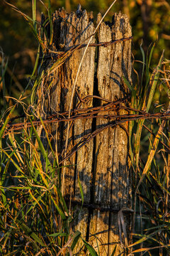 rotting wooden fence post