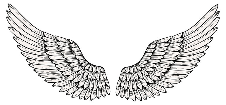 Angel wings outline sticker overlay design element