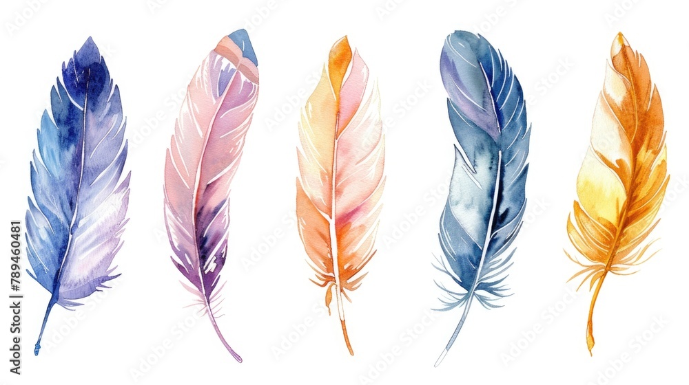 Poster four watercolor feathers on white background. suitable for various design projects