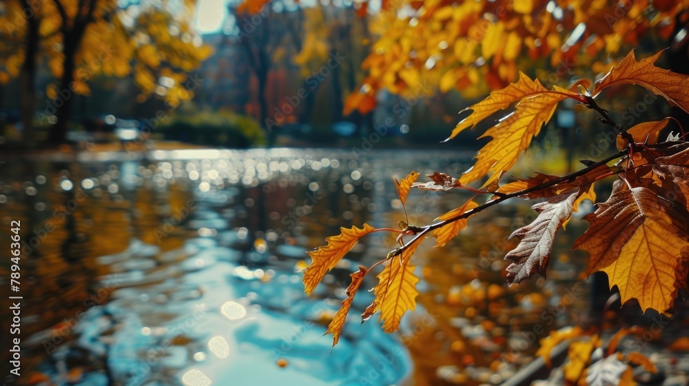 Poster tree branch with yellow leaves near a tranquil body of water. suitable for nature and autumn-themed 