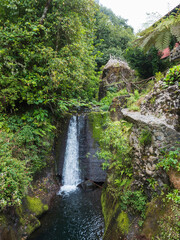 Waterfall at hiking trail PR10 Levada do Furado along water irrigation channel. One the oldest and most popular levadas. Ribeiro Frio to Portela, Madeira Island, Portugal. - 789464459