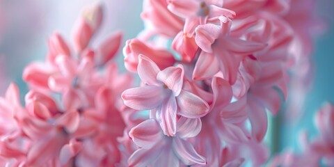 Fototapeta premium Close up of pink flowers, suitable for nature concepts