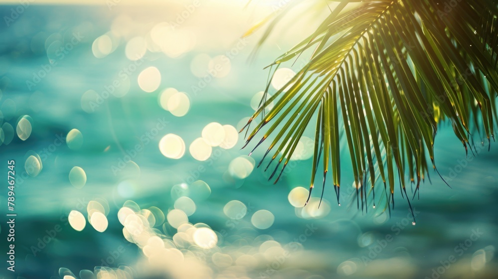 Poster Close up of a palm tree with ocean in background. Ideal for travel and nature concepts