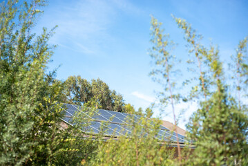 solar panels over a roof among the bush
