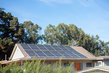 solar panels over a roof among the bush