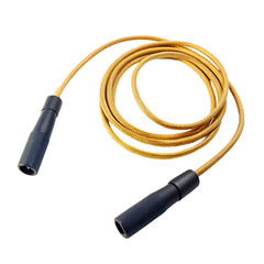 Fototapeta premium Jump Rope for CrossFit Training