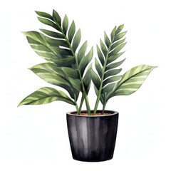 A watercolor painting of a houseplant in a black pot with green leaves with light green stripes.