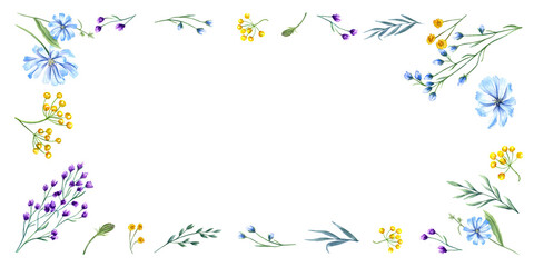 Meadow blooming plants. Wildflower composition. Yellow, blue flowers. Spring, summer greenery. Long horizontal frame. Copy space for text. Watercolor illustration for birthday, wedding