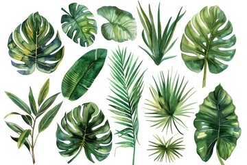 Vibrant watercolor painting of various tropical leaves, perfect for botanical designs