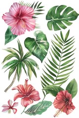 Vibrant tropical flowers and lush green leaves in a beautiful arrangement. Perfect for botanical projects