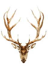 A painting of a deer's head with large antlers, suitable for wildlife themes