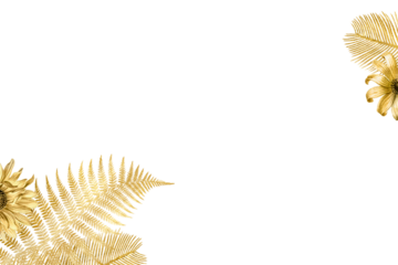 Png sunflower palm leaf gold border frame