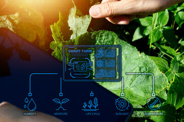 The concept of using AI and smart farming..
