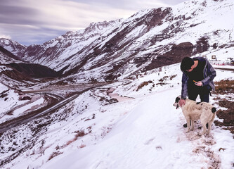 Mountaintop bonding: a young man and his dog share a moment of connection against a panoramic snowy mountain backdrop - obrazy, fototapety, plakaty