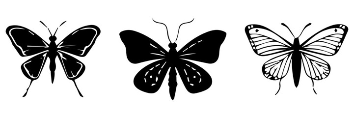 Hand drawn vector illustration of  butterfly