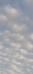  A plane gracefully flying amidst white fluffy clouds against a backdrop of a clear blue sky.