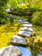 STONE STEPS LEAD THROUGH MYSTERIOUS GARDEN IN CANADA