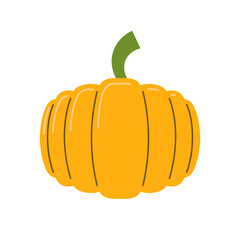 Pumpkin berry food ingredient and symbol of Halloween. Vector illustration	
