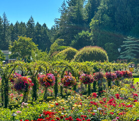 SUMMER GARDEN BASKETS IN FULL BLOOM