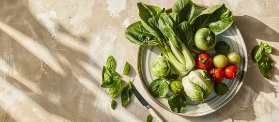 Green tomatoes and bok choy, along with other vegetables, arranged in a flat lay on a plate with a knife, captured under bright sunlight against a beige background with copy space. - obrazy, fototapety, plakaty