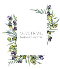 Olives Watercolor Illustration. Olive Branches Greenery Hand Painted Watercolor isolated on white background.  Perfect for olive wedding invitations, floral labels, bridal shower and greeting cards