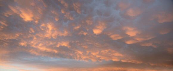 Weather phenomenon with bag-shaped mammatus clouds in special weather conditions, at sunset - 789513422