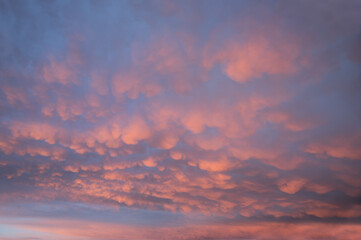 Weather phenomenon with bag-shaped mammatus clouds in pastel colors