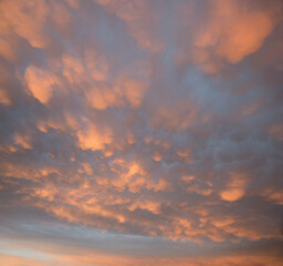 Weather phenomenon with bag-shaped mammatus clouds in special weather conditions, at sunset. square format - 789513802