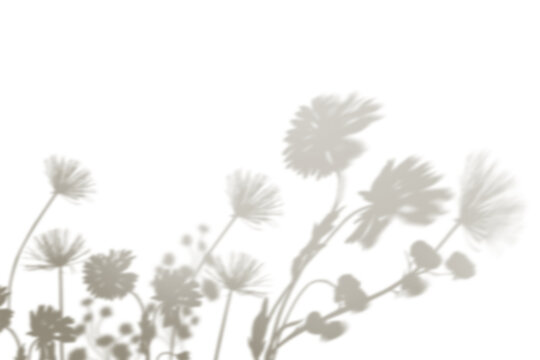 PNG flower field shadow design element