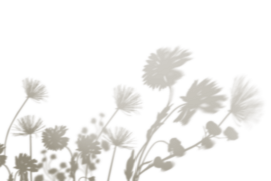 PNG flower field shadow design element
