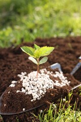 Shovel with soil, fertilizer and seedling outdoors, closeup - obrazy, fototapety, plakaty