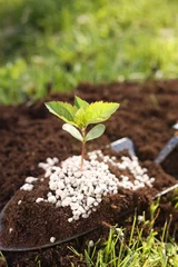 Tuinposter Shovel with soil, fertilizer and seedling outdoors, closeup © New Africa