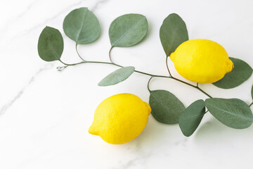 Two fresh whole lemon fruits and fresh eucalyptus branches on white marble background.