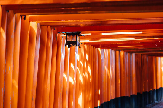 Tranquil Perspective through Fushimi Inari Torii Corridor