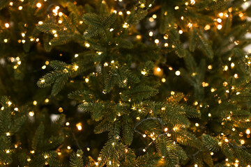 Christmas mood